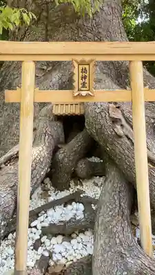 和泉國一之宮　大鳥大社の末社・摂社