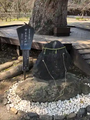 平野神社(京都府)