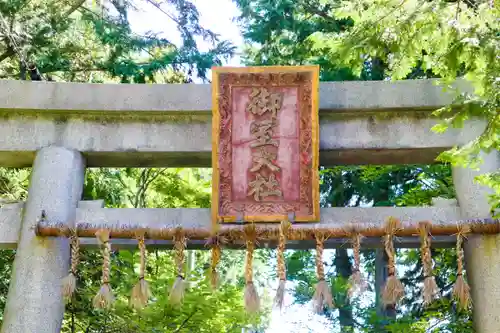 冨士御室浅間神社の鳥居