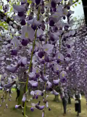 和氣神社（和気神社）(岡山県)