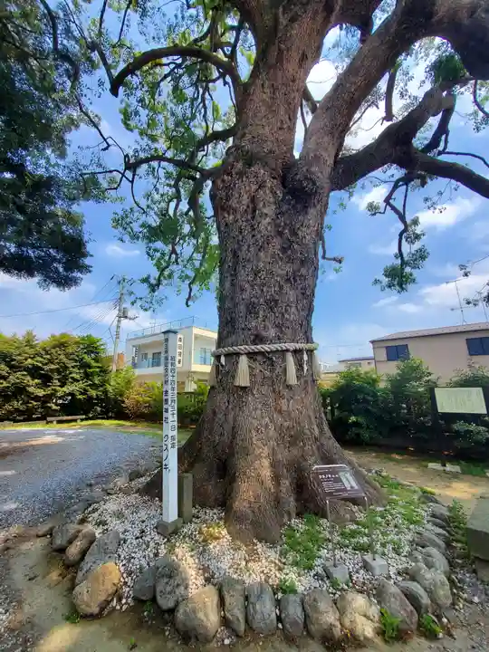 金鑚神社の自然