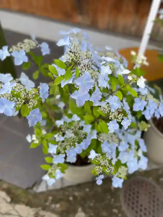 奈加美神社の自然