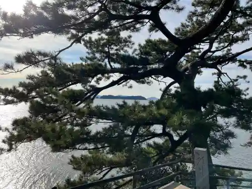 八大龍神社の自然