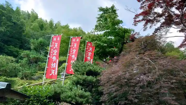 天鏡院(京都府)