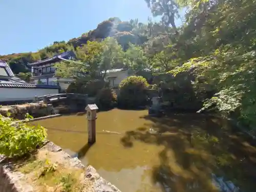 矢田寺の{uncategorized: "未分類", other: "その他", undefined: "問題あり", building: "その他建物", grave: "お墓", sacred_gate: "鳥居", guardian: "狛犬", statue: "像", buddha: "仏像", history: "歴史", nature: "自然", garden: "庭園", animal: "動物", pagoda: "塔", temizu: "手水舎", mountain_gate: "山門・神門", sanctuary: "本殿・本堂", subordinate: "末社・摂社", art: "芸術", scenery: "景色", jizo: "地蔵", ema: "絵馬", goshuin: "御朱印", omikuji: "おみくじ", items: "授与品その他", amulet: "お守り", goshuincho: "御朱印帳", eats: "食事", festival: "お祭り", votive_dance: "神楽", shichigosan: "七五三参", wedding: "結婚式", experience: "体験その他", initially: "初詣", around: "周辺", anti_infection: "感染症対策"}