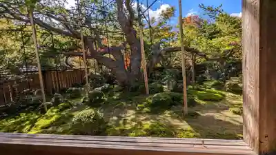 宝泉院(京都府)