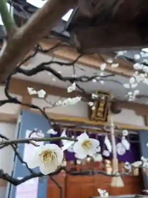 穏田神社(東京都)