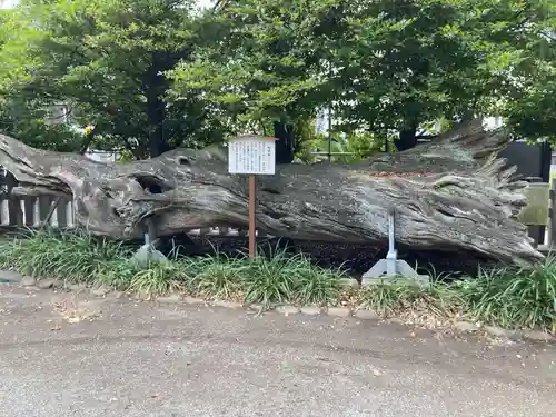 瀬戸神社(神奈川県)