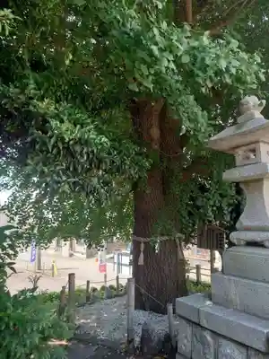 鹿嶋神社(茨城県)
