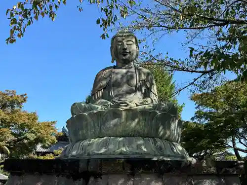 護国寺(東京都)