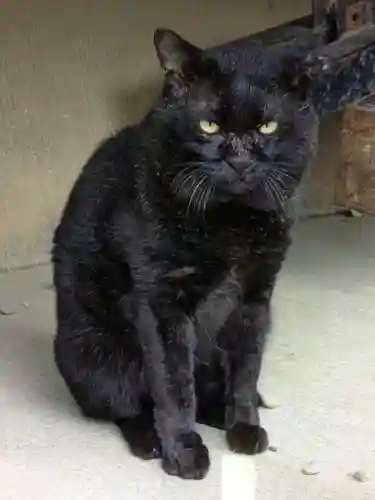 本郷氷川神社(東京都)