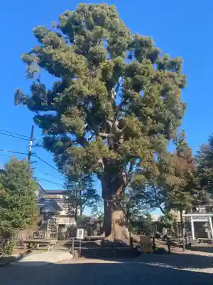 日々神社(神奈川県)