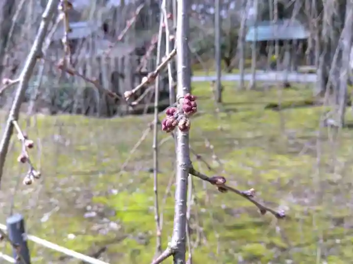 足羽神社(福井県)