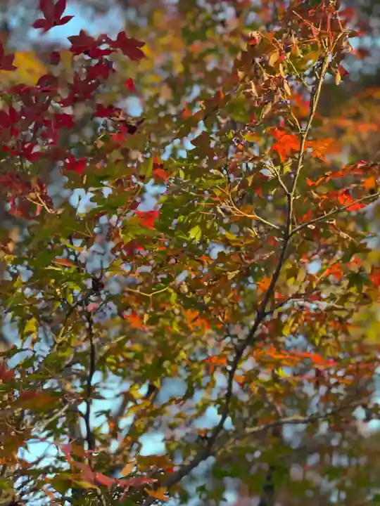 東福禅寺(東福寺)(京都府)
