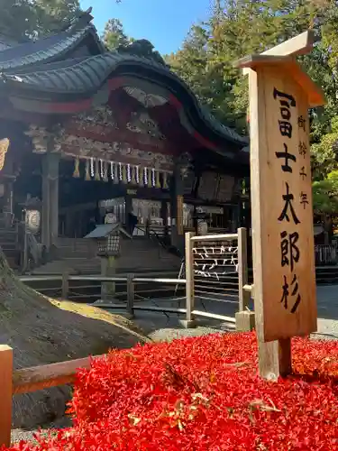 北口本宮冨士浅間神社(山梨県)