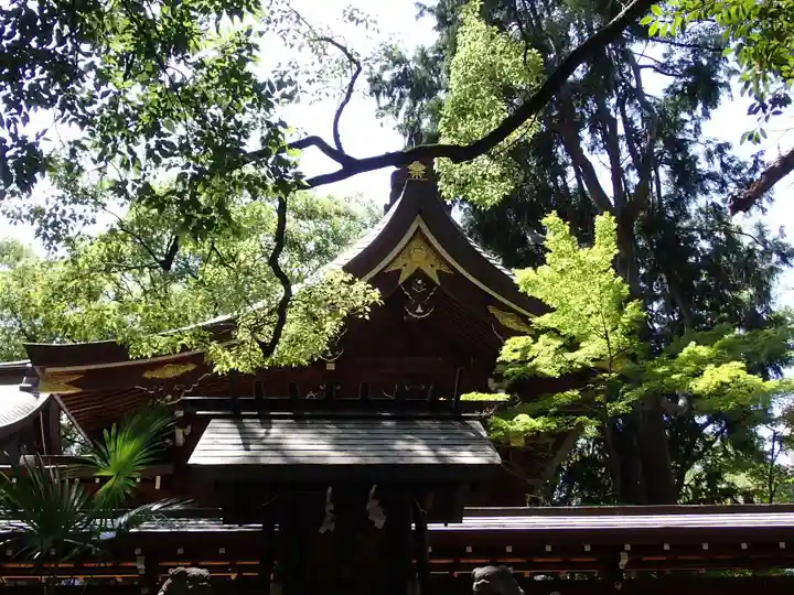 若宮八幡社の本殿・本堂