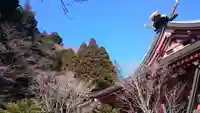 大山阿夫利神社の本殿・本堂