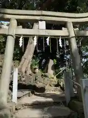 多摩川浅間神社の鳥居