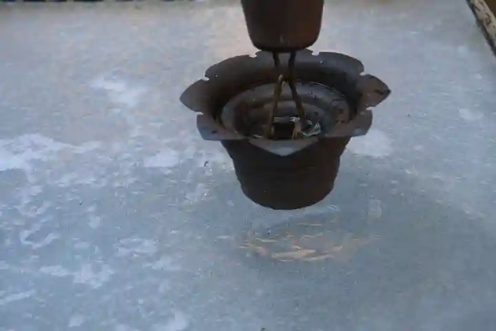 三春大神宮の自然