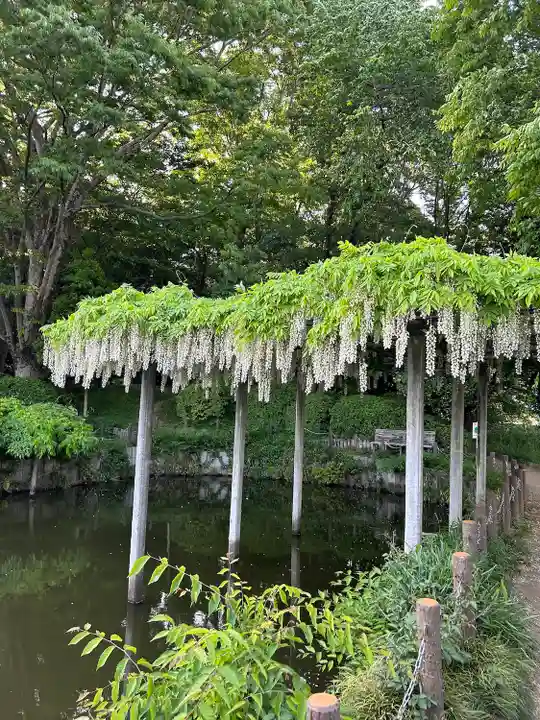玉敷神社(埼玉県)