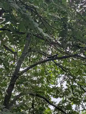 鷹栖神社(北海道)