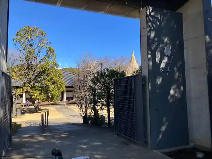 天王寺(東京都)