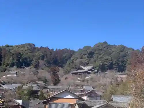 長谷寺(奈良県)