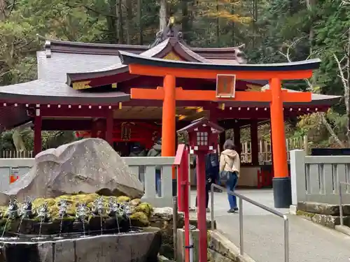 箱根神社の鳥居