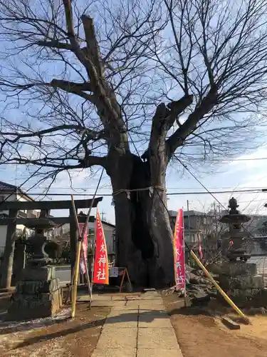 三ツ木神社の庭園