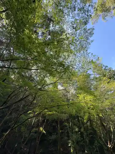 大山祇神社(伊勢神宮内宮)の{uncategorized: "未分類", other: "その他", undefined: "問題あり", building: "その他建物", grave: "お墓", sacred_gate: "鳥居", guardian: "狛犬", statue: "像", buddha: "仏像", history: "歴史", nature: "自然", garden: "庭園", animal: "動物", pagoda: "塔", temizu: "手水舎", mountain_gate: "山門・神門", sanctuary: "本殿・本堂", subordinate: "末社・摂社", art: "芸術", scenery: "景色", jizo: "地蔵", ema: "絵馬", goshuin: "御朱印", omikuji: "おみくじ", items: "授与品その他", amulet: "お守り", goshuincho: "御朱印帳", eats: "食事", festival: "お祭り", votive_dance: "神楽", shichigosan: "七五三参", wedding: "結婚式", experience: "体験その他", initially: "初詣", around: "周辺", anti_infection: "感染症対策"}