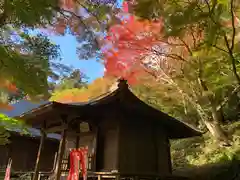 普門寺(切り絵御朱印発祥の寺)(愛知県)