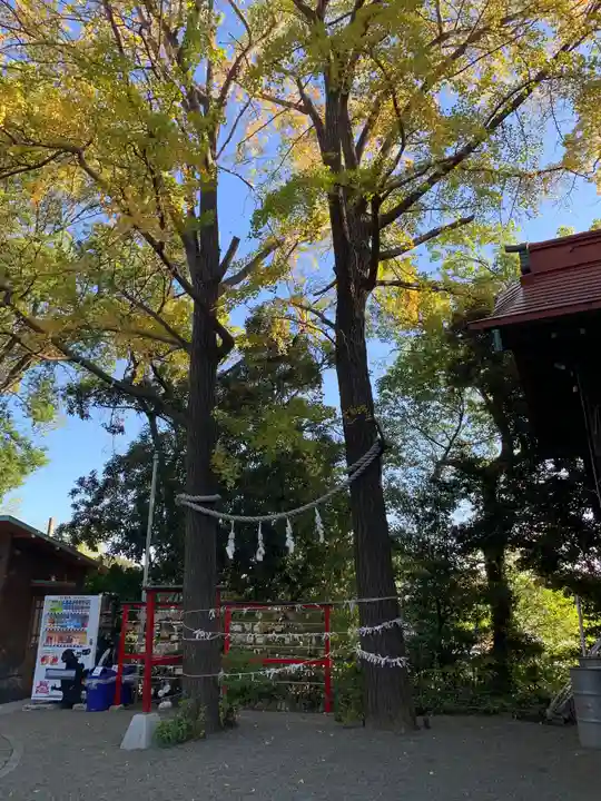 多摩川浅間神社の自然