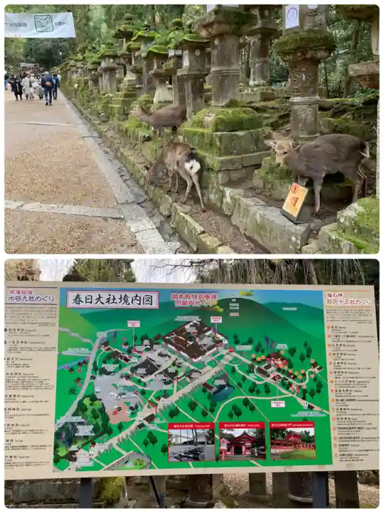 春日大社(奈良県)