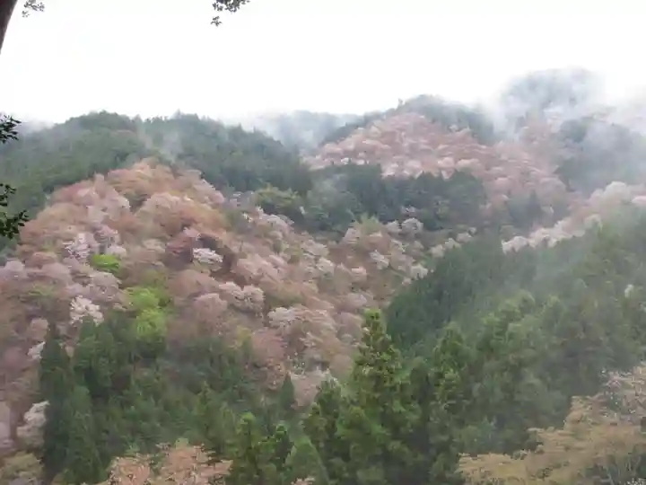 𠮷水神社(吉水神社)の自然
