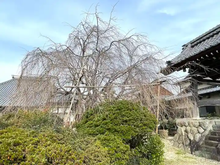 瑞光寺(三重県)