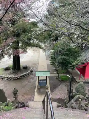 駒込富士神社(東京都)