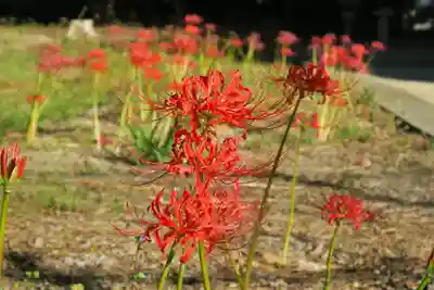 若宮八幡宮(京都府)