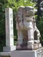 藤島神社(贈正一位新田義貞公之大宮)の狛犬