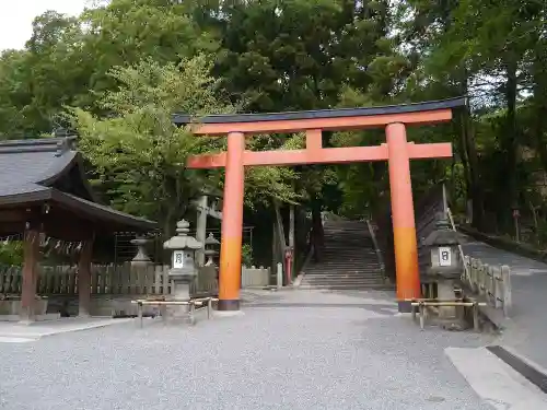 吉田神社の鳥居