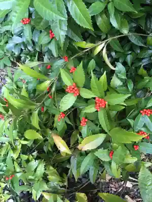 武蔵野八幡宮(東京都)