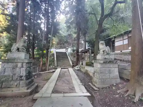 會津比賣神社の狛犬