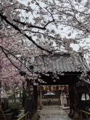 新井薬師(梅照院)(東京都)