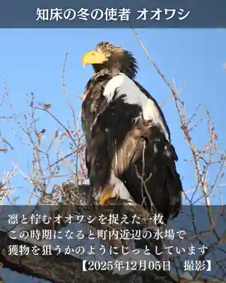 宝光寺(北海道)