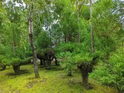 源光庵(京都府)