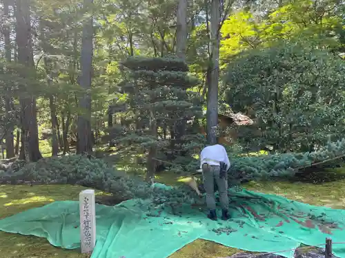 西芳寺(京都府)