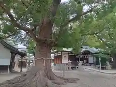 華表神社(大阪府)