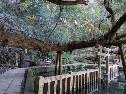 鹿島神宮(茨城県)