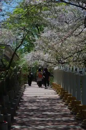金剛宝寺（紀三井寺）の{uncategorized: "未分類", other: "その他", undefined: "問題あり", building: "その他建物", grave: "お墓", sacred_gate: "鳥居", guardian: "狛犬", statue: "像", buddha: "仏像", history: "歴史", nature: "自然", garden: "庭園", animal: "動物", pagoda: "塔", temizu: "手水舎", mountain_gate: "山門・神門", sanctuary: "本殿・本堂", subordinate: "末社・摂社", art: "芸術", scenery: "景色", jizo: "地蔵", ema: "絵馬", goshuin: "御朱印", omikuji: "おみくじ", items: "授与品その他", amulet: "お守り", goshuincho: "御朱印帳", eats: "食事", festival: "お祭り", votive_dance: "神楽", shichigosan: "七五三参", wedding: "結婚式", experience: "体験その他", initially: "初詣", around: "周辺", anti_infection: "感染症対策"}
