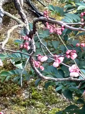 仁和寺(京都府)