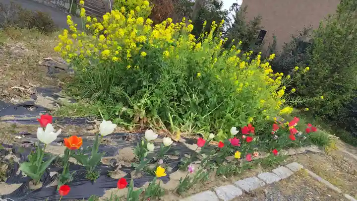 玉田神社(京都府)